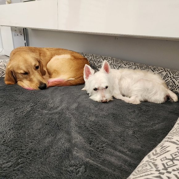 About Marissa... - Picture 3 of 5